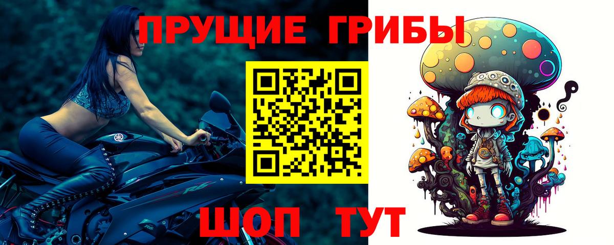 Псилоцибиновые грибы MAGIC MUSHROOMS  Галлюциногенные грибы GOLDEN TEACHER  Вход с VPN  Выборг 