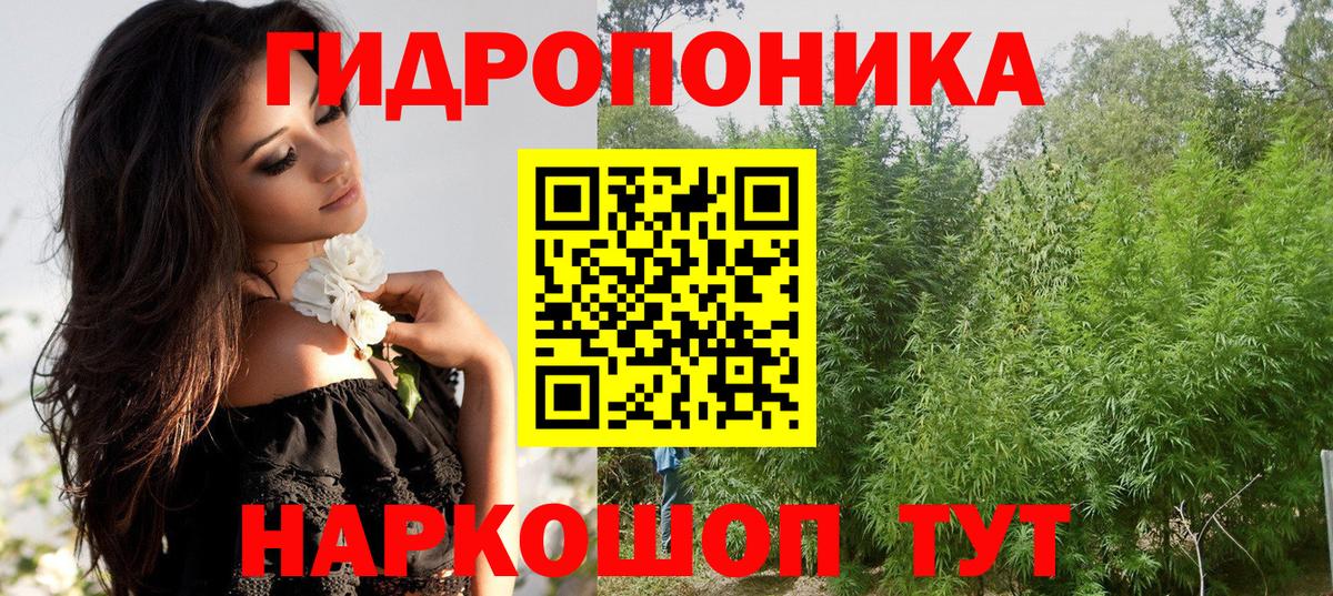 Шишки марихуана Ganja  Вход с VPN  МАРИХУАНА Ganja  Бошки Шишки тримм  Выборг 